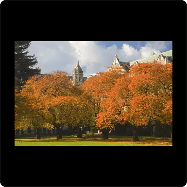 WA, Seattle, University of Washington, The Quad in autumn