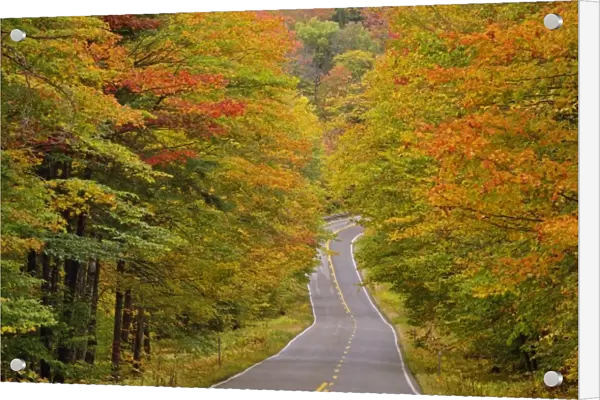 Roadway through White Mountain National Forest in autumn, New Hampshire
