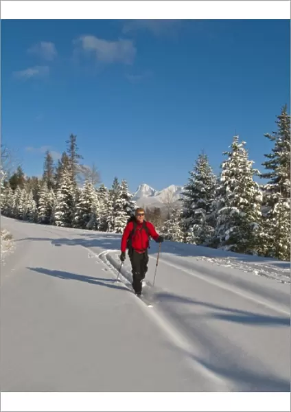 Cross country skiing to Fish Creek in Glacier National Park in Montana (MR)