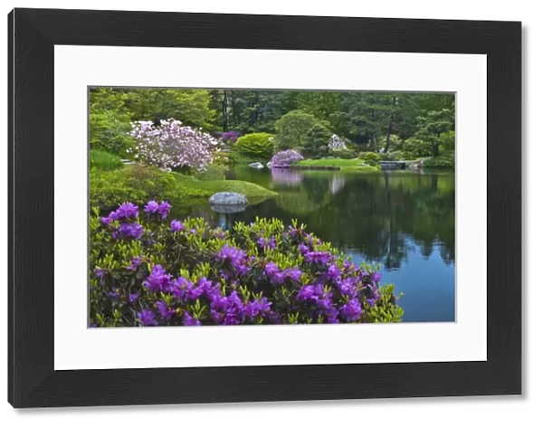 USA, Maine, Northeast Harbor. View of Asticou Azalea Gardens
