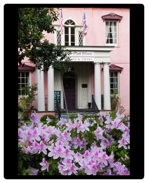 USA, Georgia, Savannah, The Historic Olde Pink House in the spring
