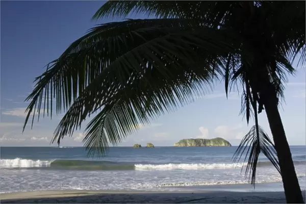 Beach with islands palmtree, Manuel Antonio, Central Pacific Coast, Costa Rica, Central America