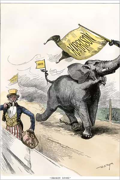 Cartoon of Benjamin Harrisons presidential candidacy