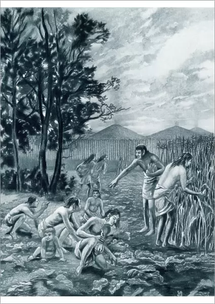 Moundbuilders harvesting corn and squash