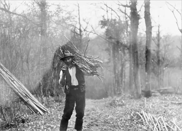 Man gathering wood in Kirdford, Sussex, April 1933