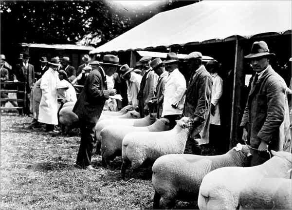 Sussex County Show at Horsham, 20 June 1928