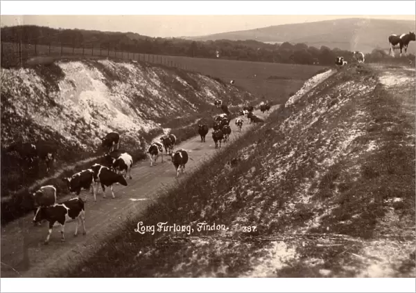 Long Furlong at Findon, c 1924