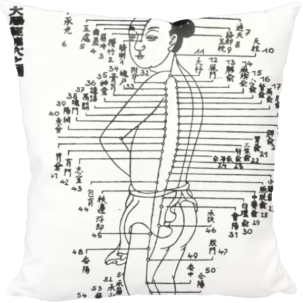 Chinese acupuncture chart showing the urinary bladder meridian