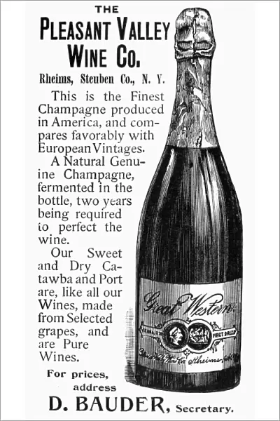 PLEASANT VALLEY WINE, 1895. Alcoholic beverage. American magazine advertisement, 1895