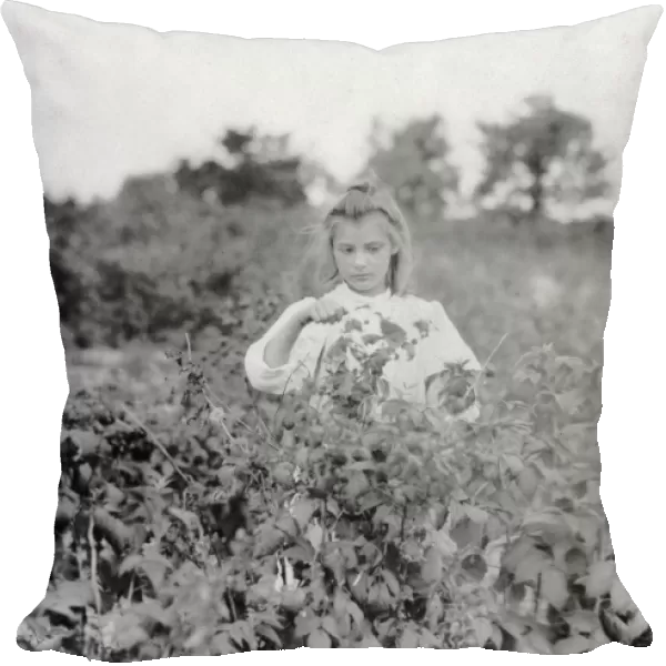 CHILD LABOR, 1909. A nine year old berry picker on Rock Creek farm near Baltimore, Maryland