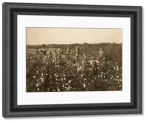 CHILD LABOR: COTTON, 1913. Family of cotton pickers near McKinney, Texas