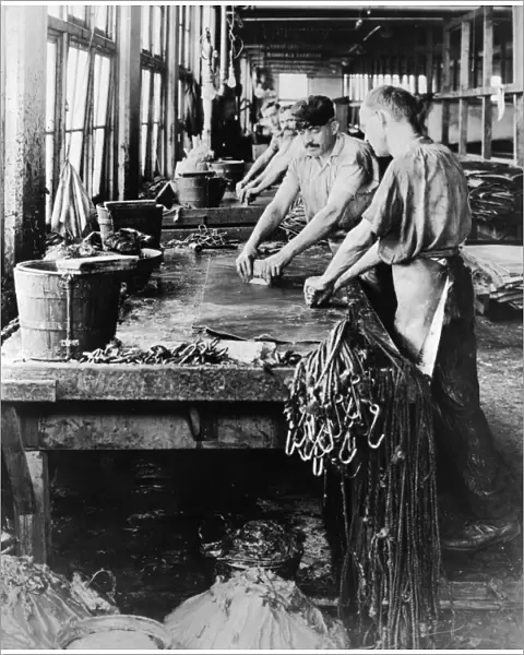 LEATHER MANUFACTURE, c1918. Workers scraping hides at the Alexander Brothers Leather