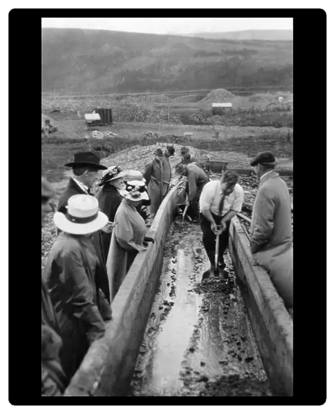 ALASKA: MINING, c1915. Miners taking gold out of a sluice box in Chatanika, Alaska
