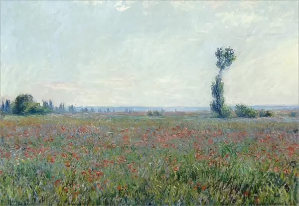 MONET: POPPY FIELD, 1881. Oil on canvas, Claude Monet, 1881
