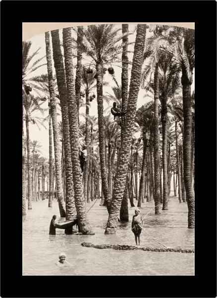 EGYPT: FLOOD, c1898. A flood of the Nile River in Cairo, Egypt. Stereograph, c1898