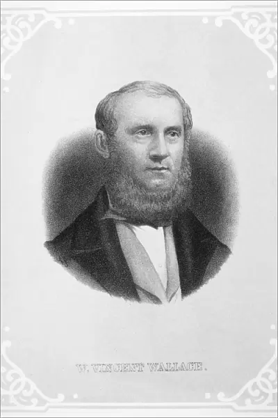 WILLIAM V. WALLACE (1812-1865). Irish pianist, violinist and composer. Lithograph
