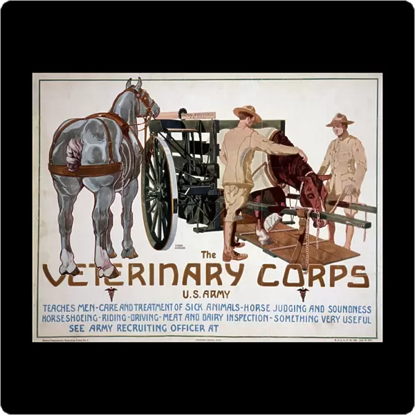 POSTER: VETERINARY CORPS. Recruiting poster advertising the Veterinary Corps of the U