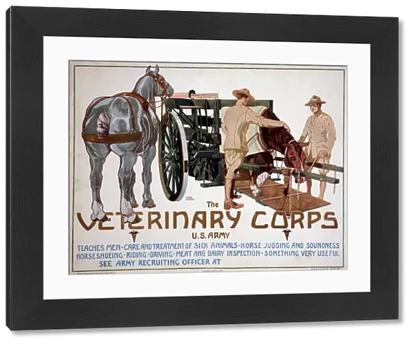 POSTER: VETERINARY CORPS. Recruiting poster advertising the Veterinary Corps of the U