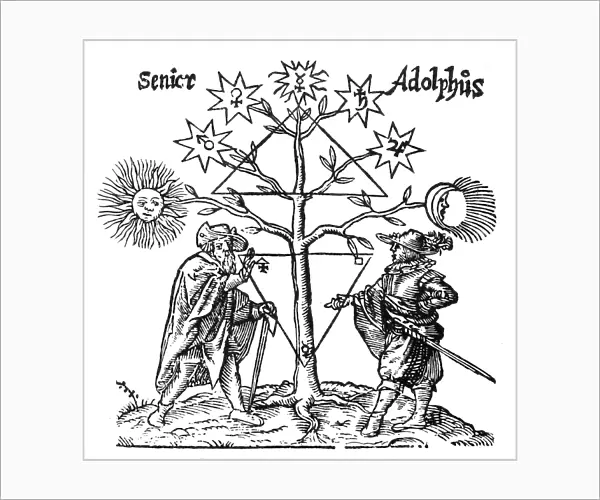 HERMETIC TREE OF KNOWLEDGE. Discussion between the sage and the scholar under the