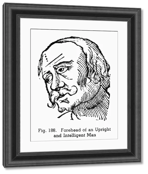 PHYSIOGNOMY, 1648. Forehead of an upright man and intelligent man. Woodcut, 1648