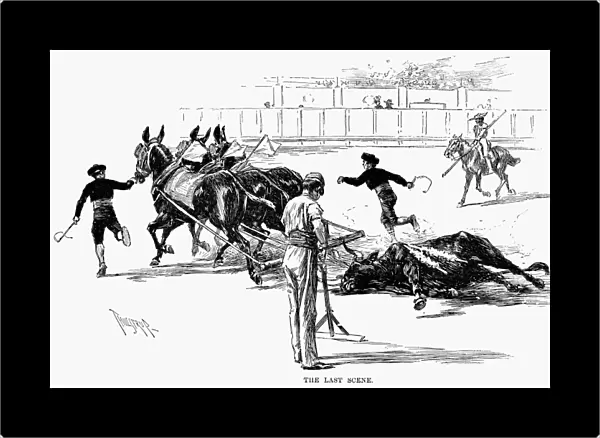 SPAIN: BULLFIGHTING, 1891. The last scene at Madrid