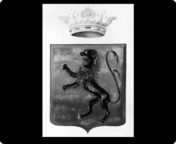 DUQUESNE COAT OF ARMS. Coat of arms of Marie-Ange Duquesne de Menneville, Marquis Duquesne