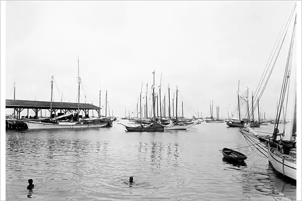 KEY WEST: HARBOR, c1895. A fleet of boats owned by sponge divers in the harbor at Key West