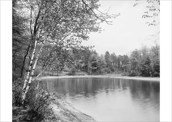 WALDEN POND, c1905. Thoreaus cove at Walden Pond in Concord, Massachusetts. Photograph