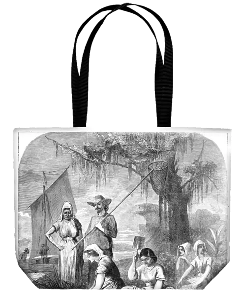 LOUISIANA: ACADIANS, 1866. Acadian women doing laundry on the Bayou Lafourche, Louisiana