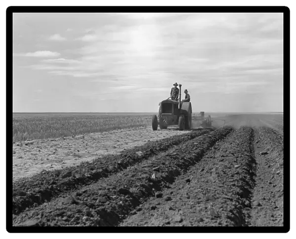 NEW MEXICO: FARM, 1938. A farmer with his son at work on a tractor in a field near Cland