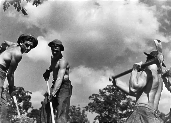 Civilian Conservation Corps men at work at Prince Georges County, Maryland. Photograph by Carl Mydans, August 1935