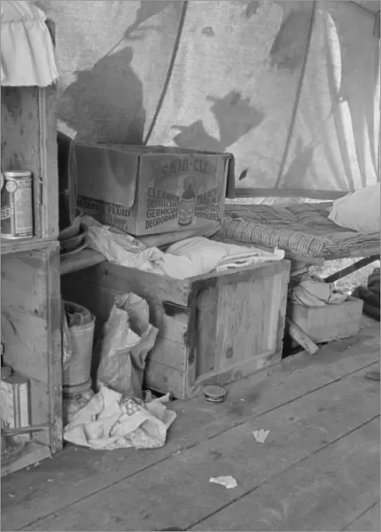 PEA PICKERs CAMP, 1939. Food and household equipment inside the tent at a pea