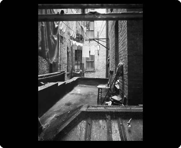 NYC: TENEMENT, 1936. View from rear window of the tenement house of Mr. and Mrs