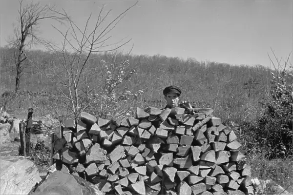 VIRGINIA: WOODPILE, 1935. A man chopping wood in a village in Shenandoah National Park, Virginia