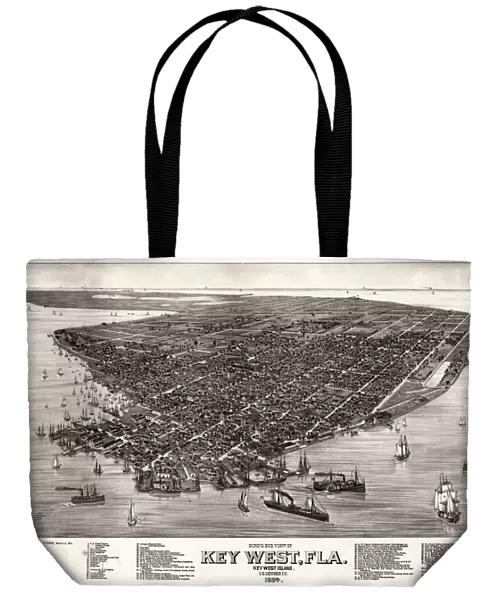 KEY WEST, 1884. Aerial view of Key West, Florida. Lithograph after a drawing by Henry Wellge