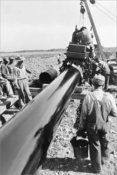 INDUSTRY: OIL PIPELINE. Oil pipeline being laid - the largest at the time - between Texas
