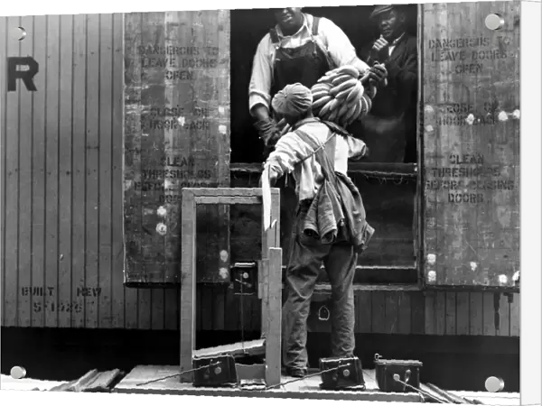 ALABAMA: BANANAS, c1937. Workers loading bananas onto a railroad freight car in Mobile, Alabama. Photographed by Arthur Rothstein, c1937