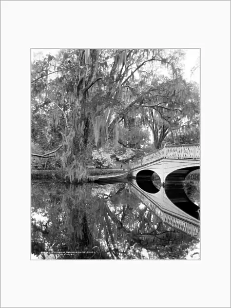 SOUTH CAROLINA: LAKE, c1900. Bridge over the lake at Magnolia-on-the-Ashley, or Magnolia Gardens, at Charleston, South Carolina. Photograph by William Henry Jackson, c1900