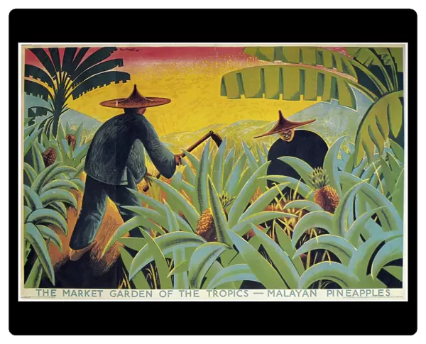 MALAYA: PLANTATION, 1931. The Market of the Garden Tropics - Malayan Pineapples. British Empire Marketing Board Poster, 1931