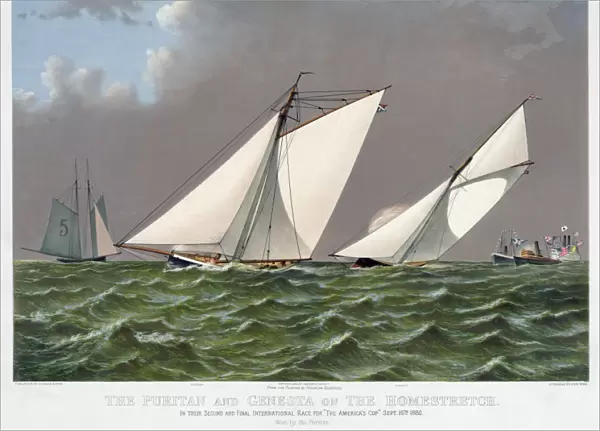 AMERICAs CUP, 1885. The American winner, Puritan with the English challenger Genesta on the homestretch of their second and final international race on 16 September 1885. Color lithograph by Currier & Ives, c1885