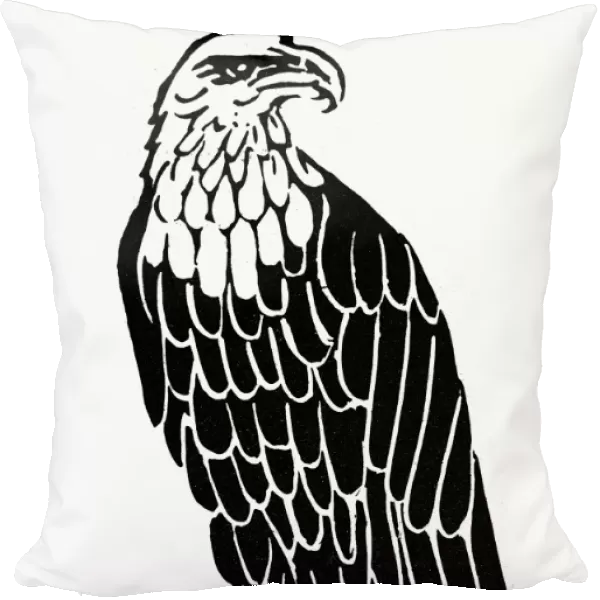 BALD EAGLE. American symbol