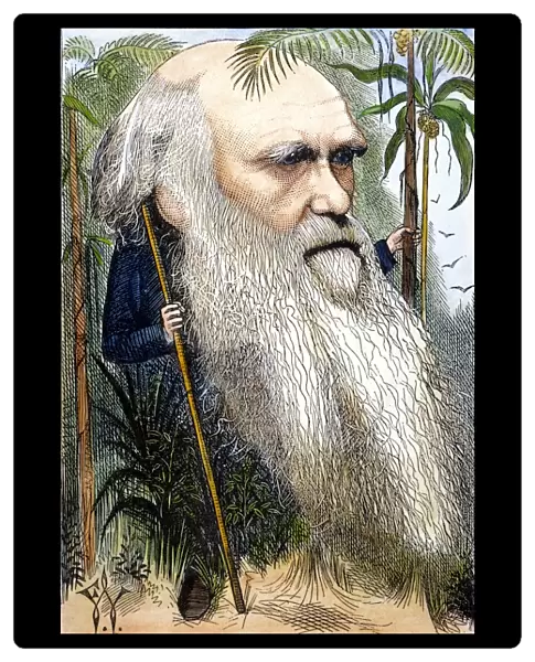 CHARLES ROBERT DARWIN (1809-1882). Caricature, 1872, by Frederick Waddy