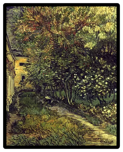 VAN GOGH: HOSPITAL, 1889. The Park of St Pauls Hospital at St Remy. Canvas, May-June 1889, by Vincent Van Gogh