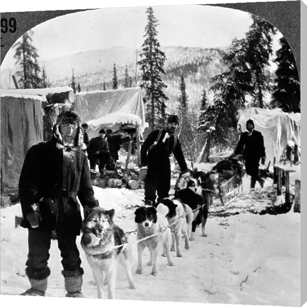 ALASKAN DOG SLED, c1900. A dog sled north of Arctic City, Alaska, on a branch of the Yukon River. Stereograph, c1900