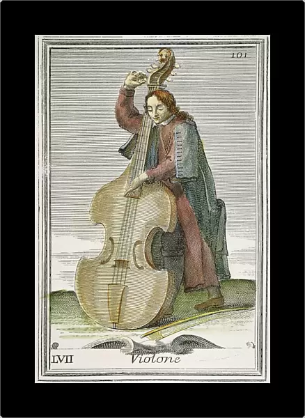 DOUBLE-BASS VIOL, 1723. Copper engraving, 1723, by Arnold van Westerhout