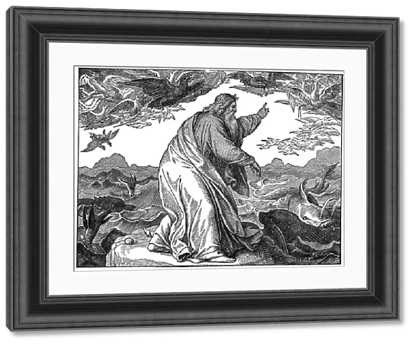 5th DAY OF CREATION. (Genesis 1: 20-23). Wood engraving, 19th century