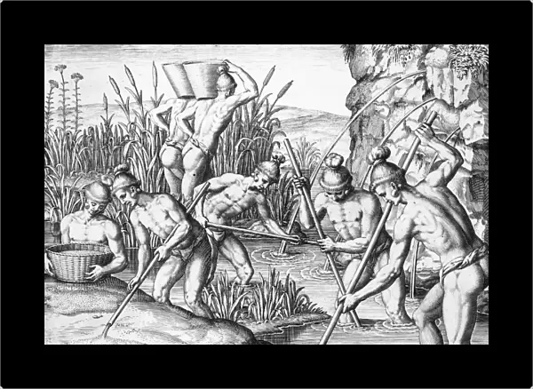 NATIVE AMERICANS: COLLECTING GOLD. Florida Native Americans getting gold from the rivers. Copper engraving, 1591, by Theodor de Bry after Jacques Le Moyne de Morgues