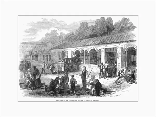 FRANCE: WINEMAKING, 1871. Grapes being brought to Chteau Lafite for the preparation of the famous Medoc wine. Wood engraving, English, 1871