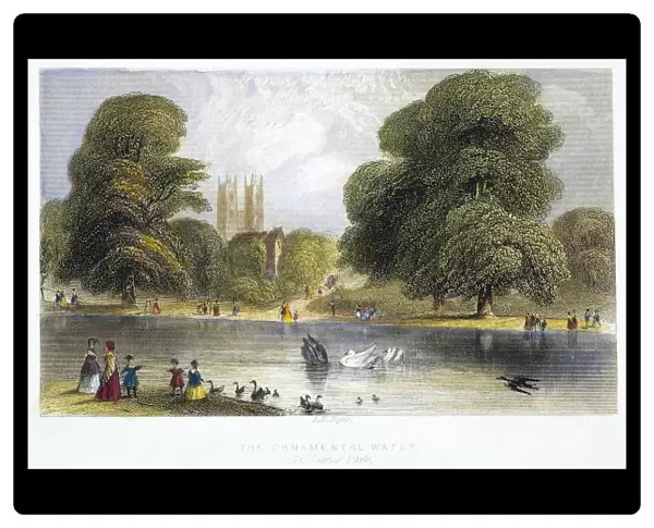 LONDON: ST JAMES PARK, 1852. The Ornamental Water, St James Park, London: steel engraving, English, 1852