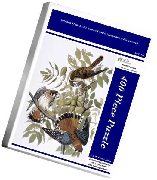 AUDUBON: KESTREL, 1827. American Kestrel or Sparrow Hawk (Falco sparverius) by John James Audubon for his Birds of America, 1827-38